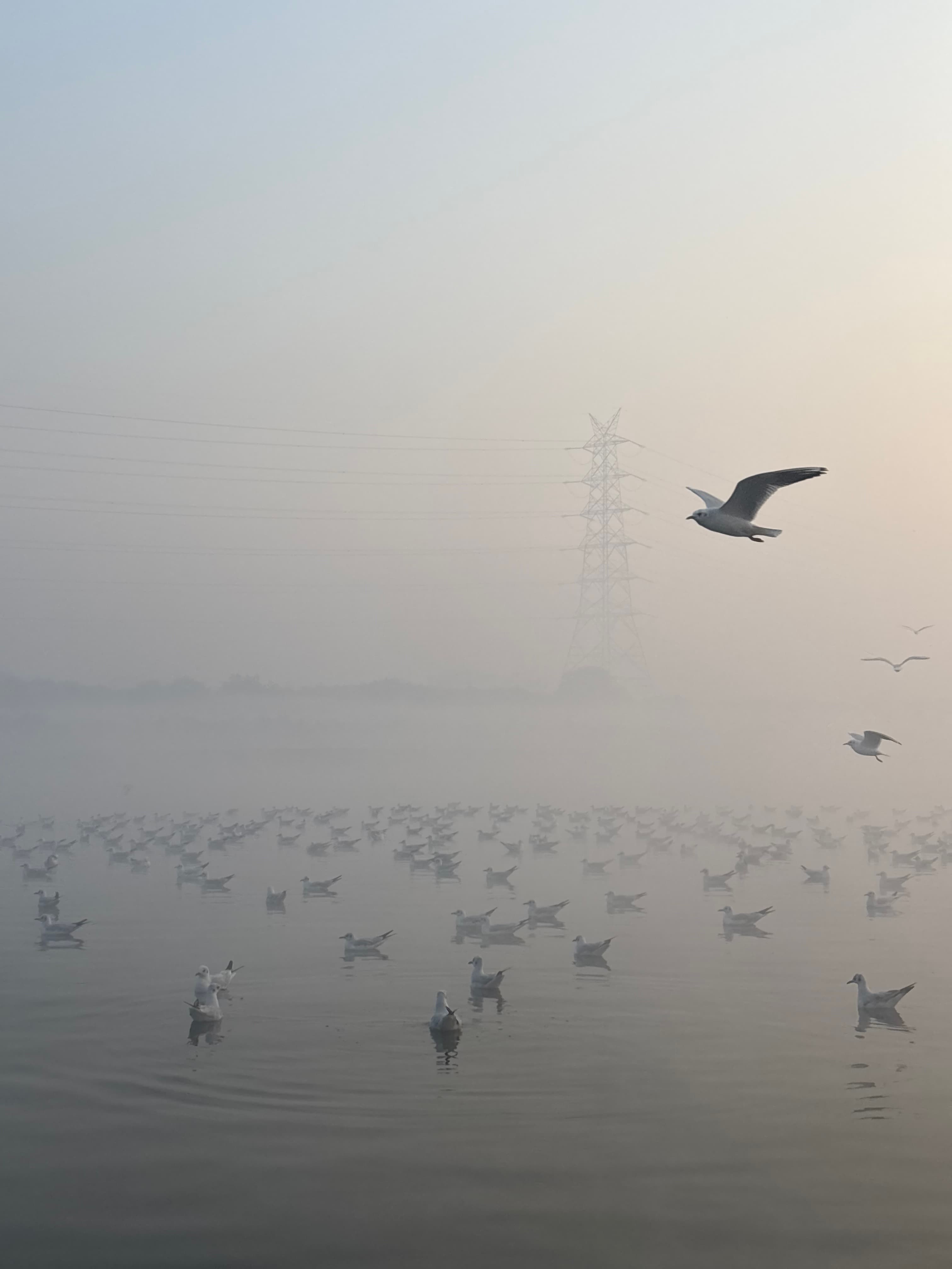 Yamuna | Sunrise Tour